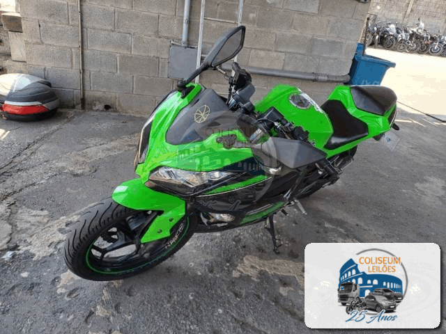 KAWASAKI NINJA 300 2014